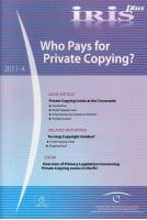 IRIS plus 2011-4: Who Pays...
